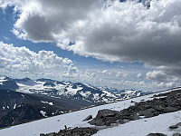 OdinB_20250720_687c1c501d72f.jpg
