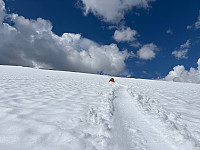 OdinB_20250720_687c1c55aabbb.jpg