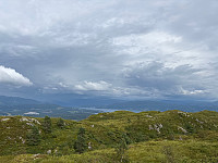 OdinB_20250731_688b90613cda9.jpg