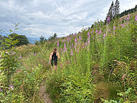 OdinB_20250731_688b90624b53e.jpg