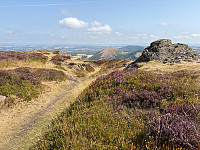 OdinB_20250815_689f1aef47a1f.jpg