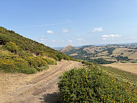 OdinB_20250815_689f1af20863d.jpg