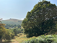 OdinB_20250815_689f1af28d3df.jpg