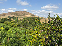 OdinB_20250815_689f1af31af14.jpg