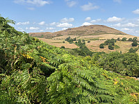 OdinB_20250815_689f1af39ad0c.jpg