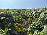 OdinB_20250815_689f1af427ca5.jpg