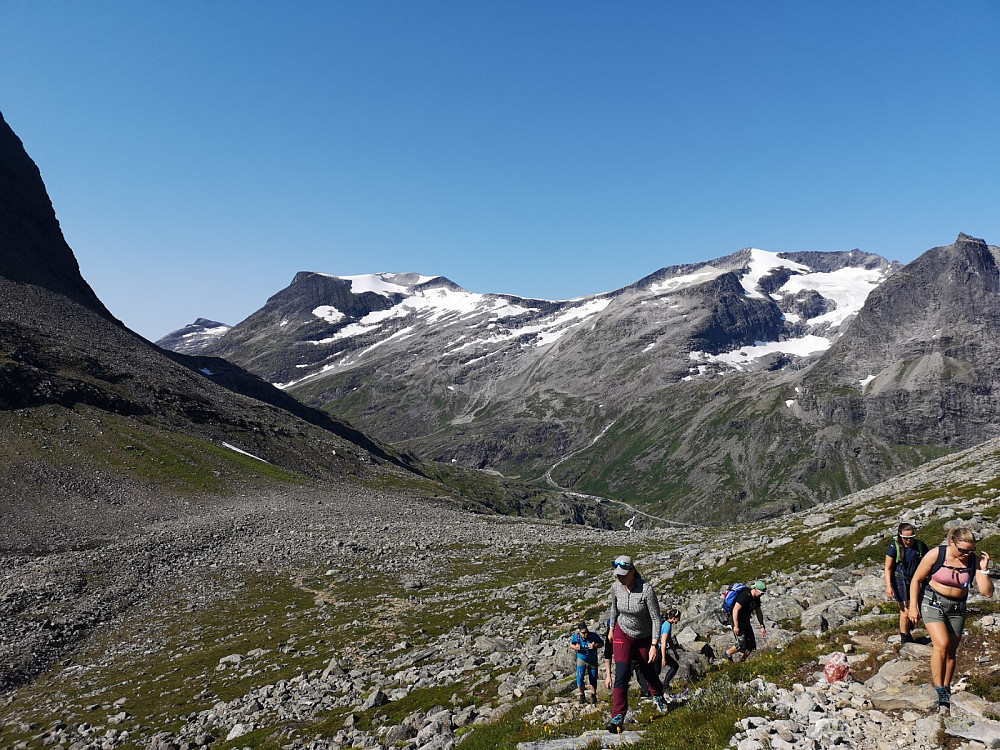 Det var også ryper i fjellet