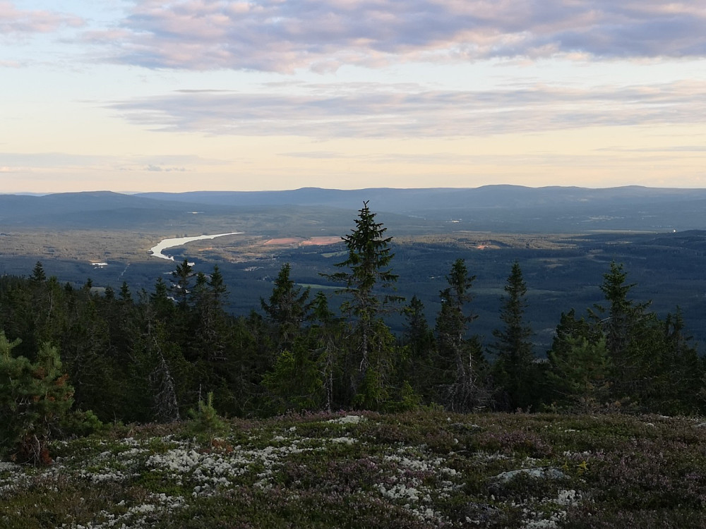 Løpsjøen og Rena