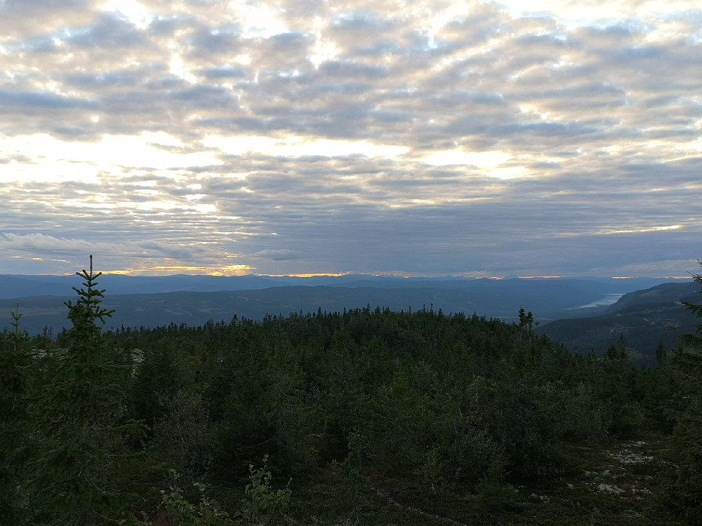Første topp