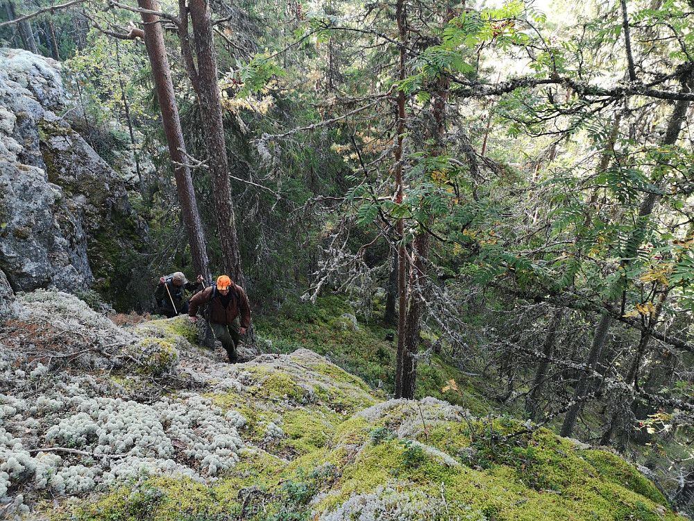 Stigningen fortsatte