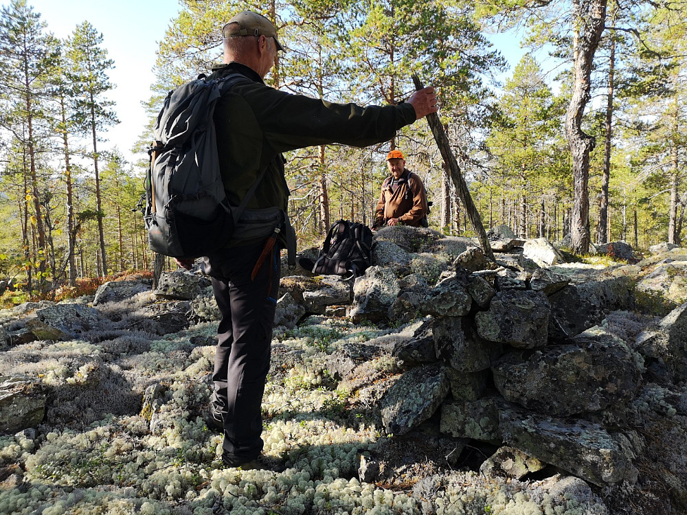 Siste topp, også her var det en del gammel skog. Man blir dessverre bestandig overrasket når man finner lommer gammel skog som ikke er flatehogd.
