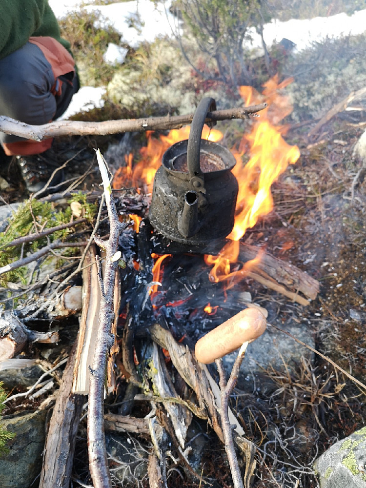 Jammen klarte vi ikke å lage et bål i dag også. Litt mer utfordrende på snaufjellet. Vi fant einer også hadde vi litt tyri i sekken. 