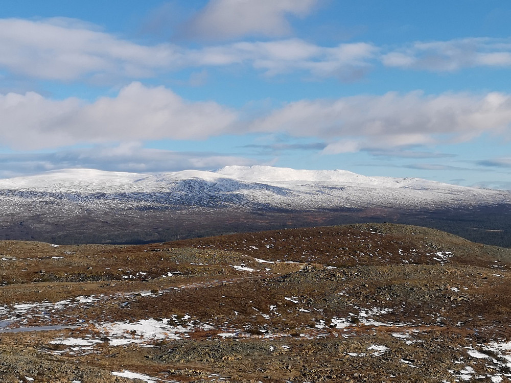 Storvigelen, kommunetoppen i Røros