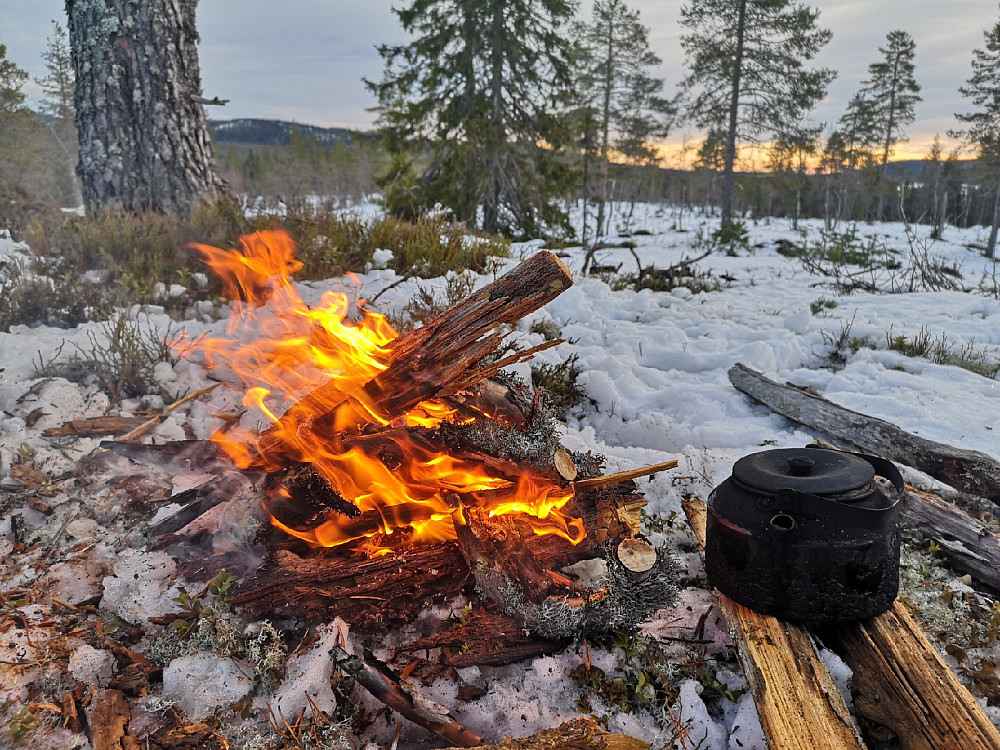 Bål
