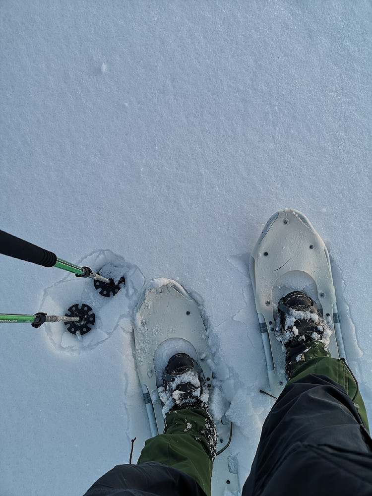 I dag ble det truger. Det er ca 15 cm med snø, så det er helt i grenseland om man skal gå på beina eller truger.