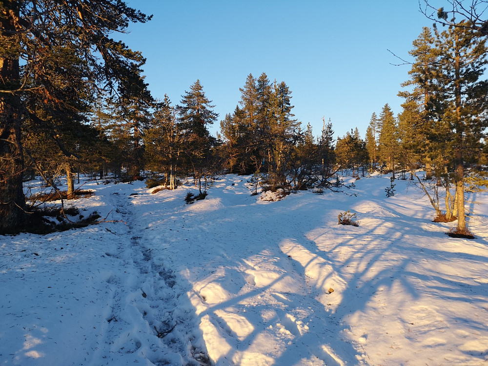 Ikke mye snø. Det er best å gå på beina. Altså uten ski eller truger..