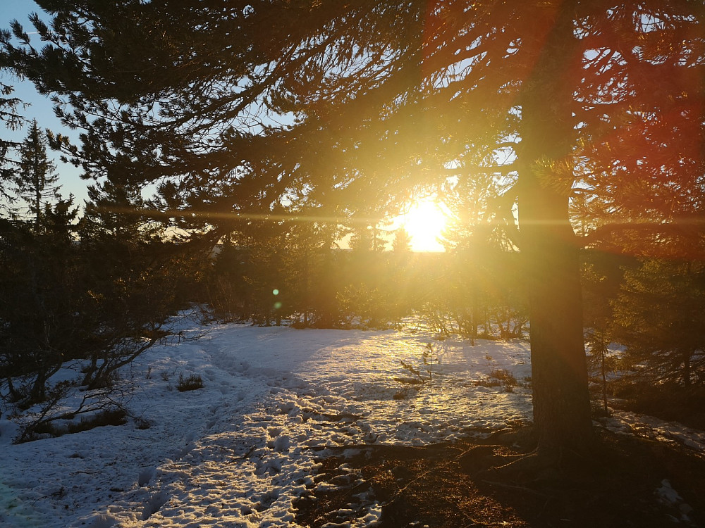 Sol