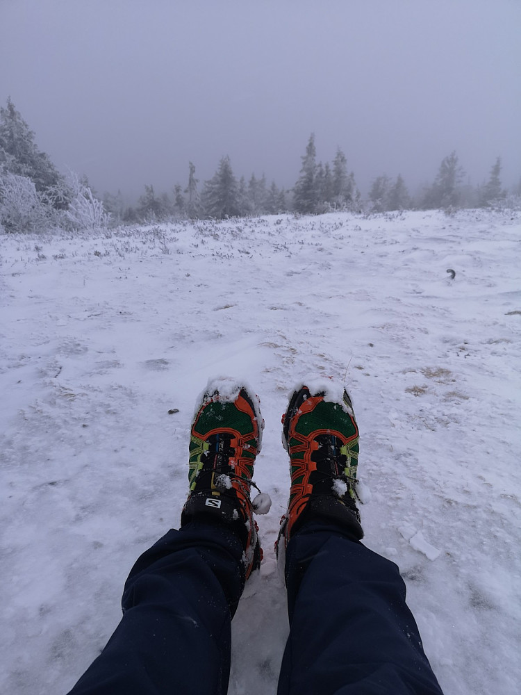 Joggesko på Engulsfjellet er mooot normalt..
