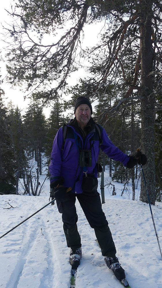 Topp nr to Hålålihaugen (713 m)