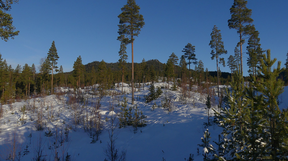 Starten på selve ryggen som jeg skal gå på i dag skimtes