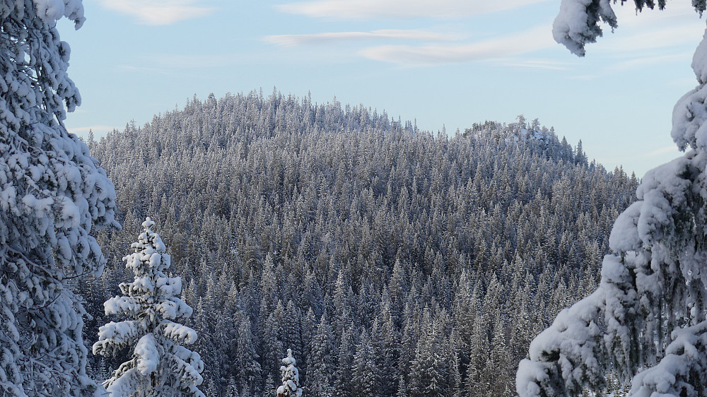 Skramsliberget. Det er visst nok et flott område. Hit skal Arne ta meg med ganske snart..