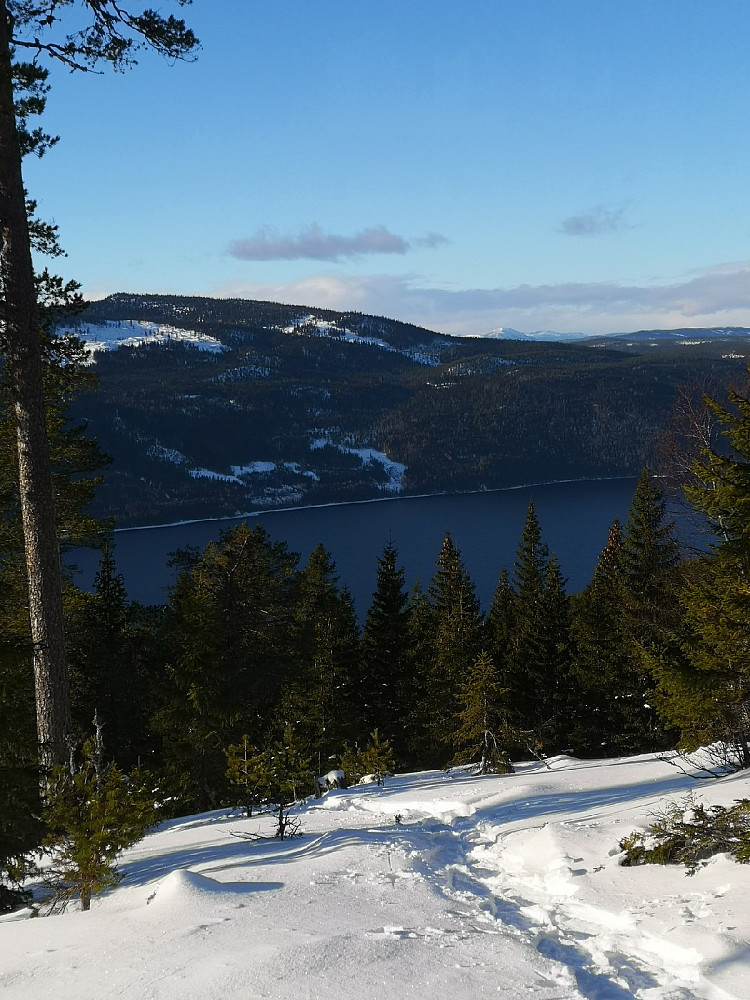 Fjord og fjell