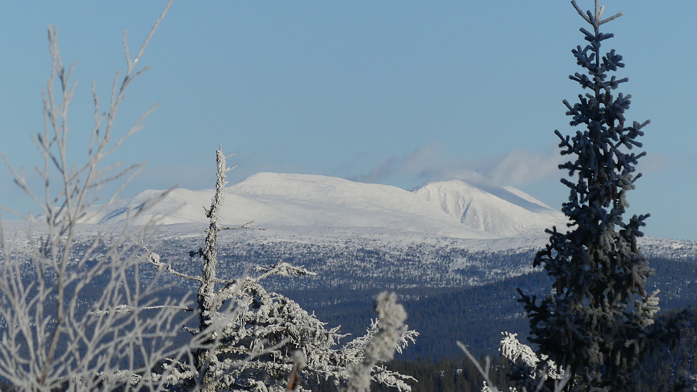 ..Rendalssølen syntes godt fra toppen