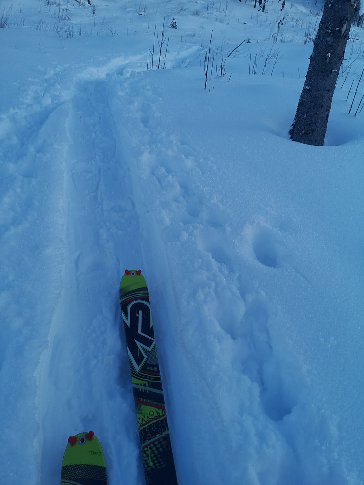 Årets første tur til Deifjellet på rando