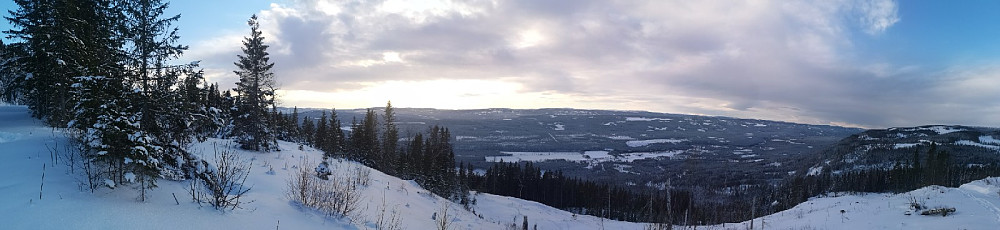 Panorama