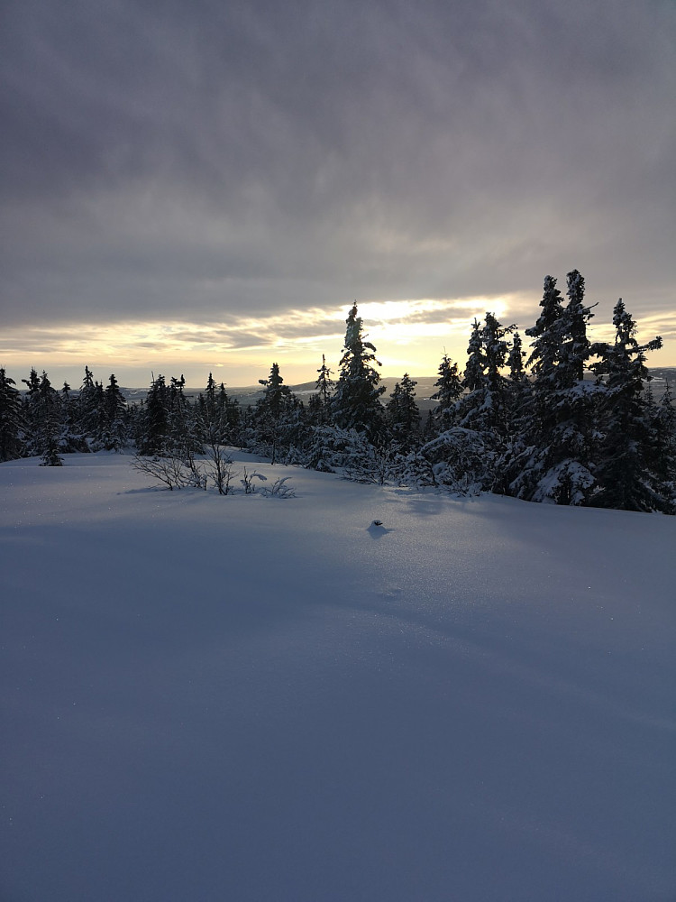 Solnedgang