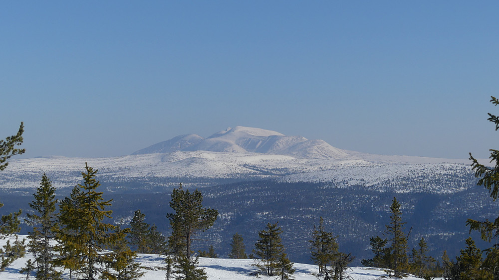 Rendalssølen