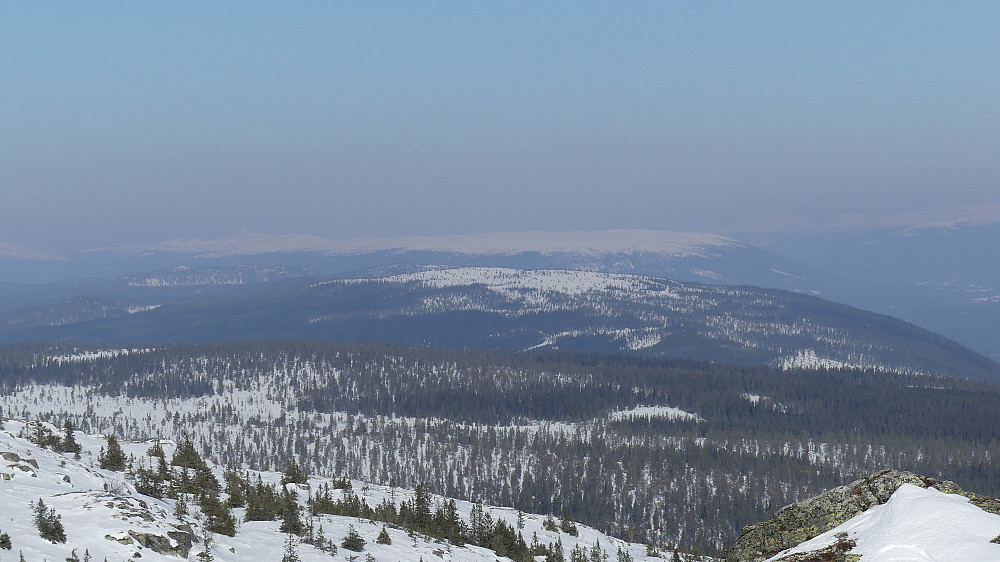 Rødfjellet, vårt neste mål