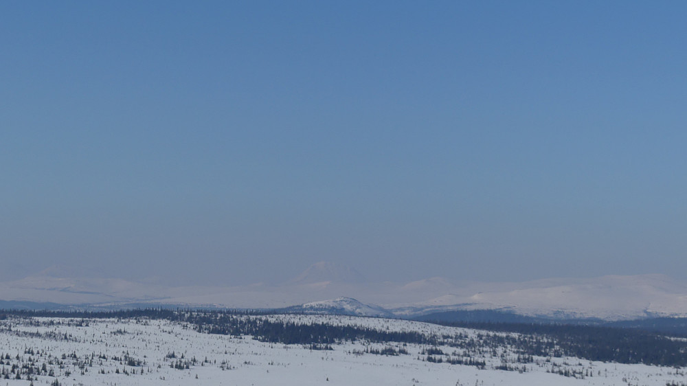 Det var ikke den store dagen for bilder på langt hold, men Alvdalssølen kan skimtes