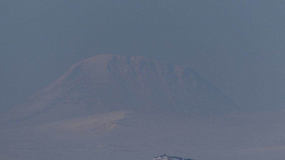 Alvdalssølen zoomet inn