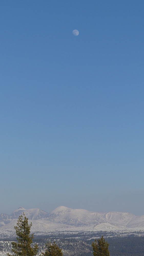 Måne over Rendalssølen