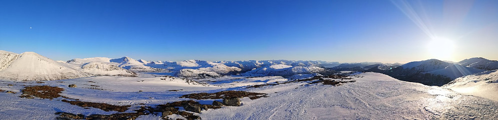 Pano