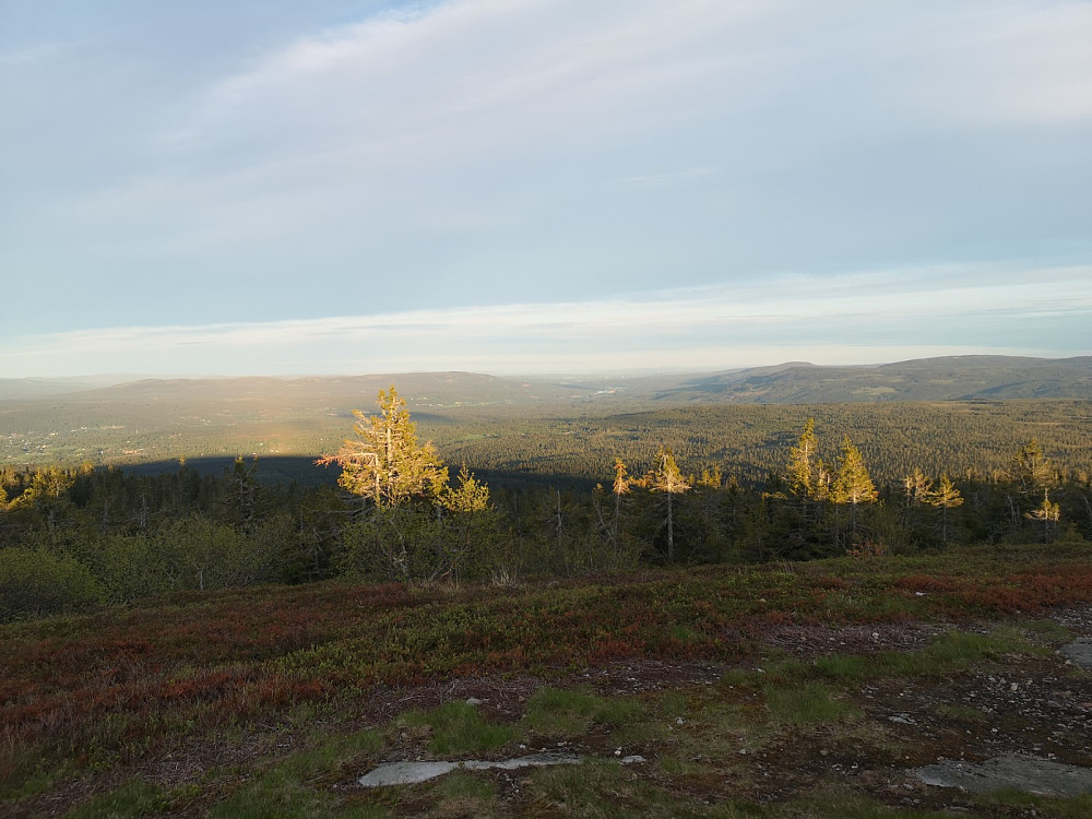 Mot Elverum