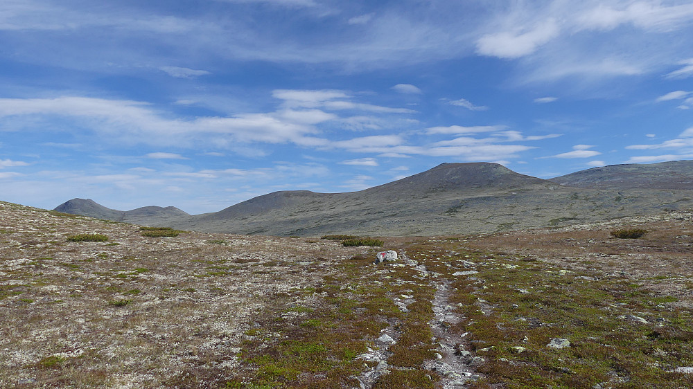 Innover flya mot noen av dagens turmål fulgte jeg Dølavegen. Dølavegen tidligere Rørosvegen er en av flere gammel ferdselsårer mellom Østerdalen og Gudbrandsdalen. Denne gikk mellom Alvdal og Sel. Gravskardshøgda omtrent midt i bildet, flat på toppen.