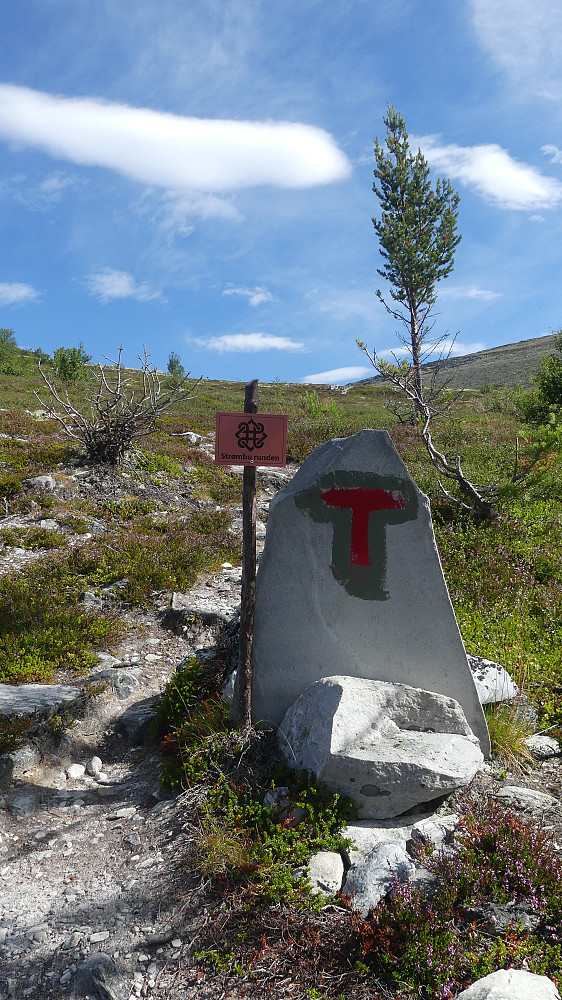 Etter en lun oppstigning i furuskogen med mye blodtørstig mygg, så ble den straks borte ved tregrensa. Der kom vinden..