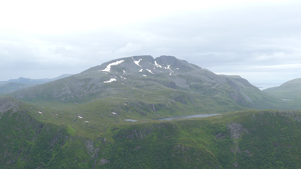Blåskjerdingen