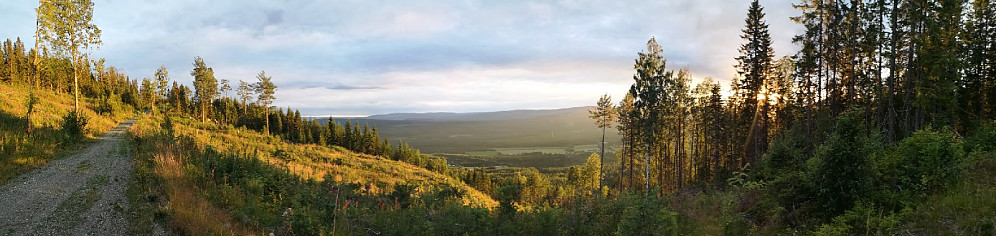 Panorama