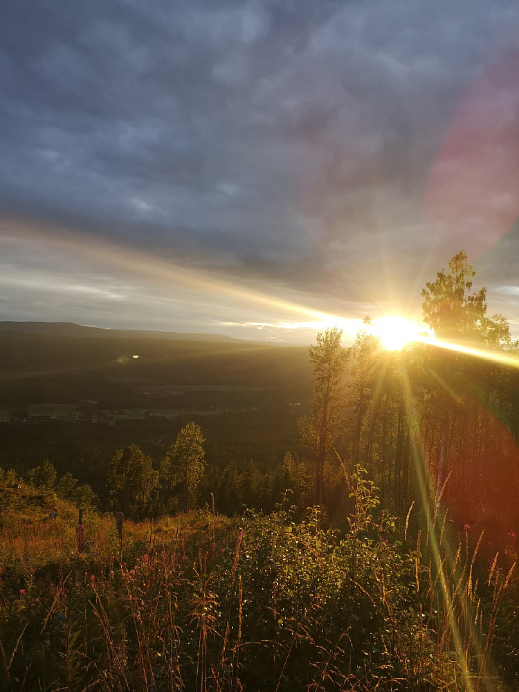 Solnedgang