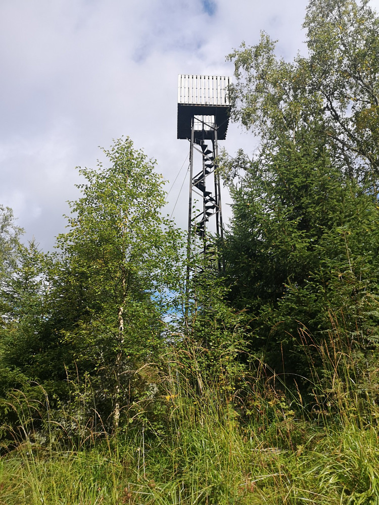 Tårn
