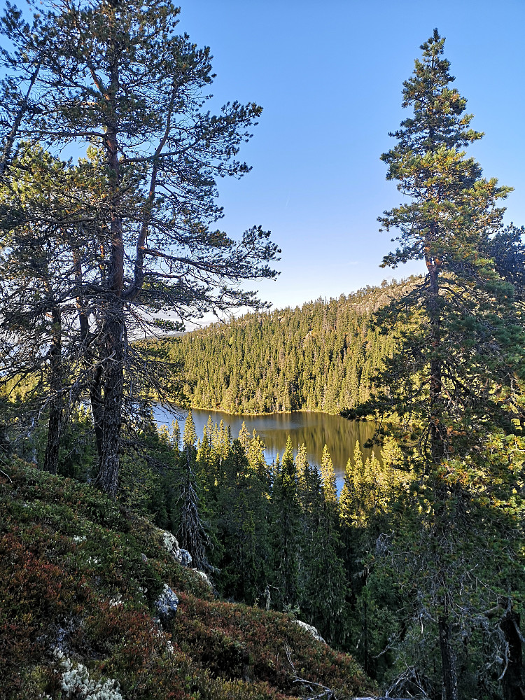 Utsikt fra Skramsliberget Sørvest mot Skramsliberget Nord og Skrmslitjønna.