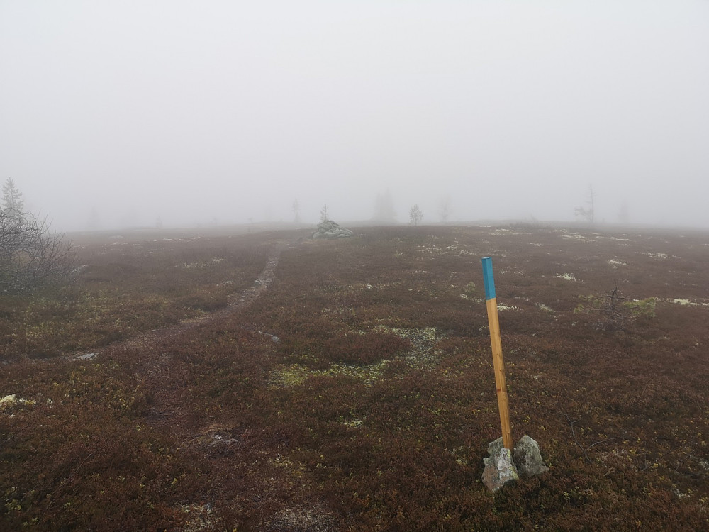 Dølfjellet