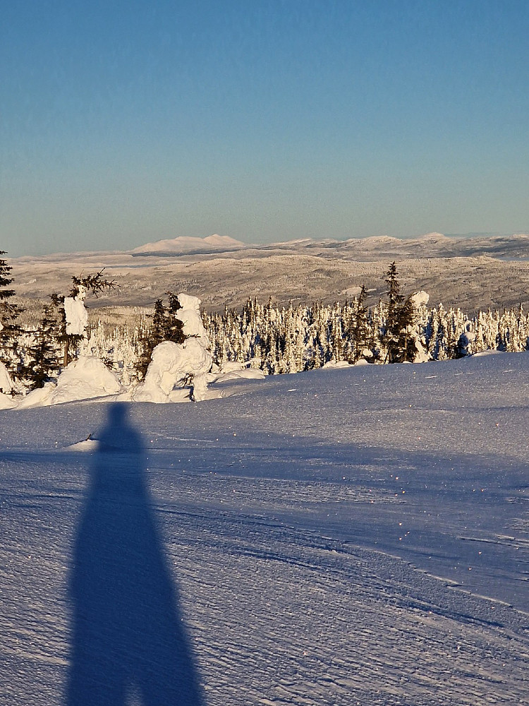 Sølen