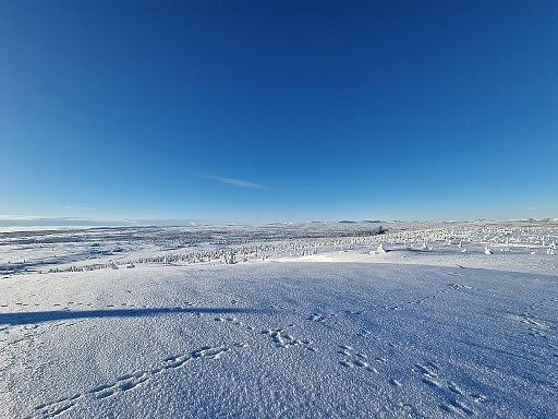 Etter lunsj, og bålkos gikk jeg opp til Hemmelfjellet. Her er utsikten vestover. Haren har hoppet på kryss og tvers.