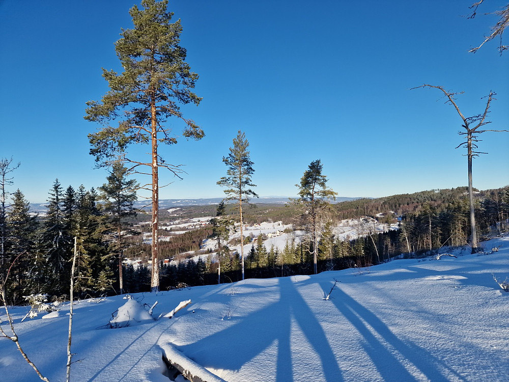 Utsikt mot Ådalsbruk/Løten