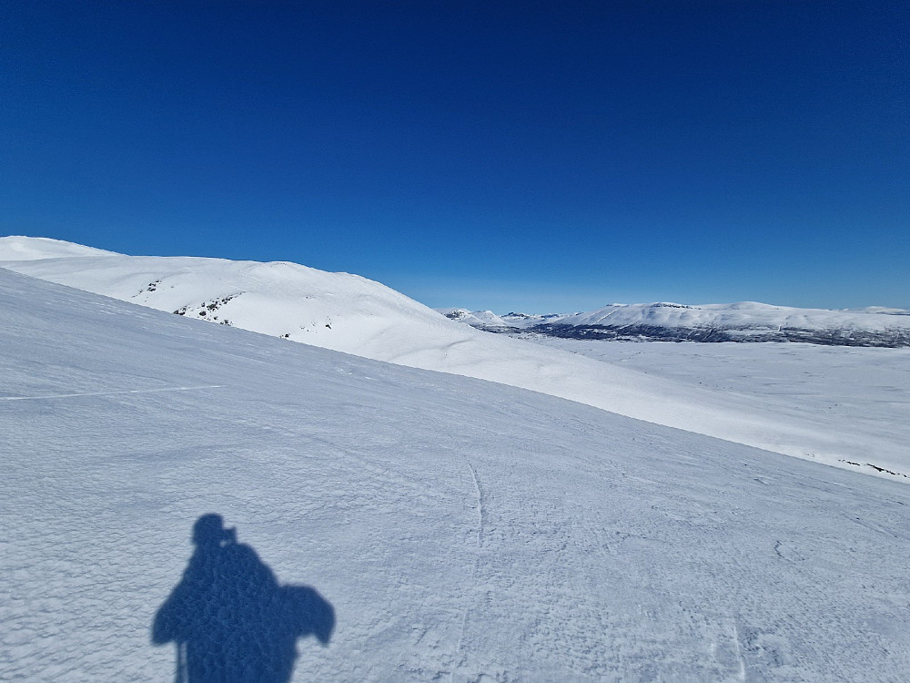 Nordover fra oppstigningen til Skogshorn. Storlifjell (1731m) i bakgrunnen, tror jeg i hvertfall. Nærmest ser man ryggen opp mot Veslebotnskarvet.