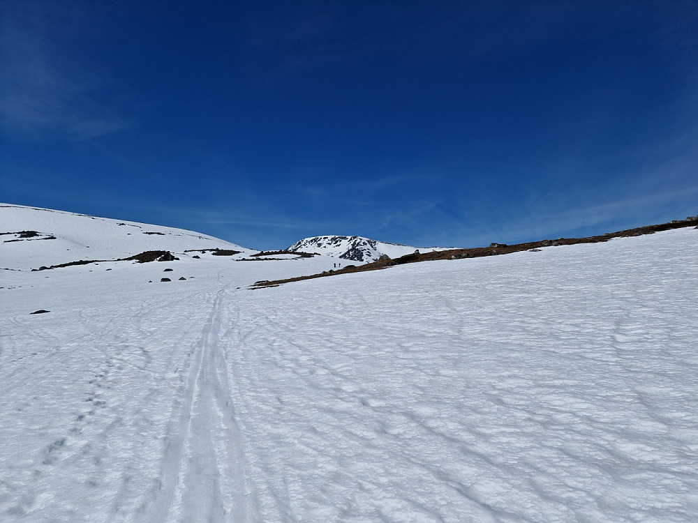 Rasletind